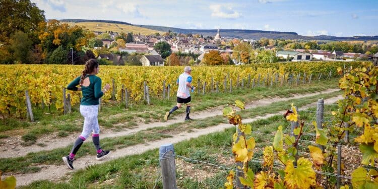 Grand cru 2023 pour le Marathon de Chablis