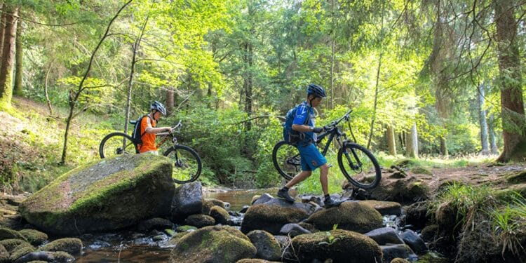 L’Yonne, terre de Jeux et d’exploits
