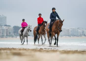 Équitation : Rider en rose, c’est maintenant !