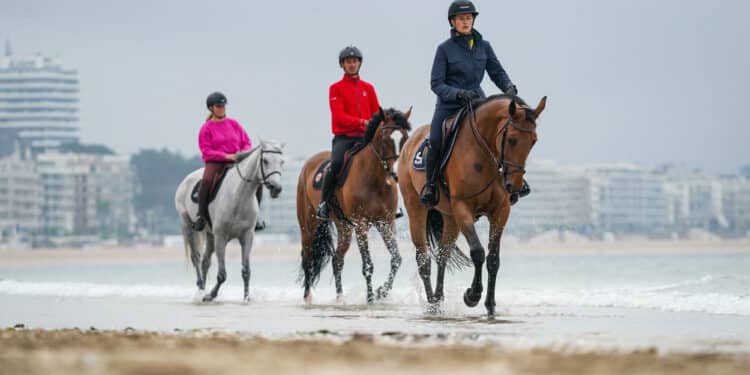 Équitation : Rider en rose, c’est maintenant !