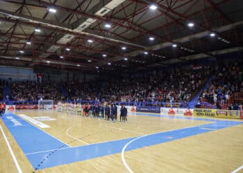 Futsal : Les Bleues écrivent l’histoire en Pays de la Loire 