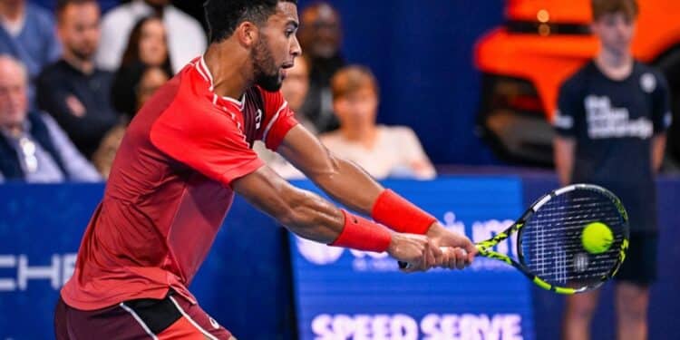 Tennis : Fin de saison en or pour les Bleus ?