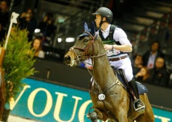Équitation : Thomas Carlile, le roi mondial du Lion