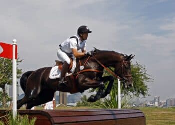 Équitation : Le Mondial du Lion s’apprête à rugir 