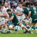 Rugby : Deux derbys néo-aquitains palpitants