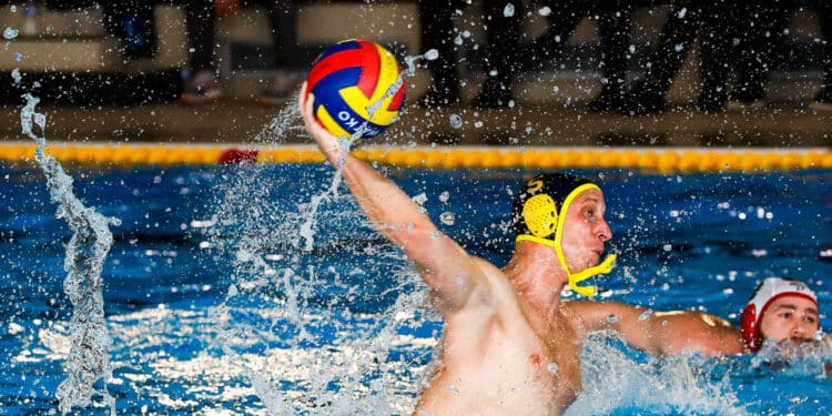 Water-polo : Strasbourg se jette à l’eau