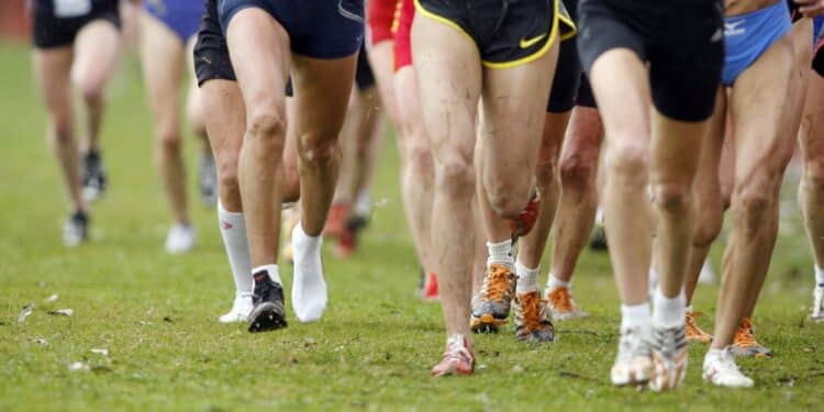 Running : Le Cross Sud Ouest entre en piste