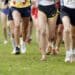 Running : Le Cross Sud Ouest entre en piste