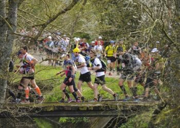 Trail : Plongée en pleine nature au Trail de Saint-Nolff