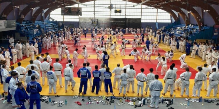 Judo : Aix-en-Provence a réuni les talents de demain