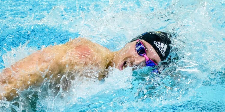 Natation : Les Bleu(e)s à l’heure pour Paris ?
