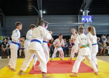 Alain Julien : « Impulser une politique enthousiaste et dynamique »