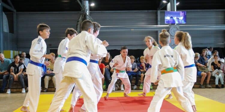 Alain Julien : « Impulser une politique enthousiaste et dynamique »