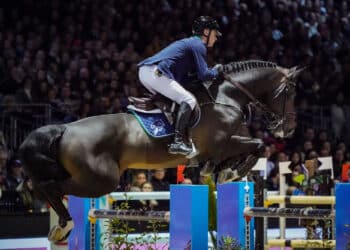 Équitation : Le Cadre Noir, un gala d’ouverture d’exception à Bordeaux