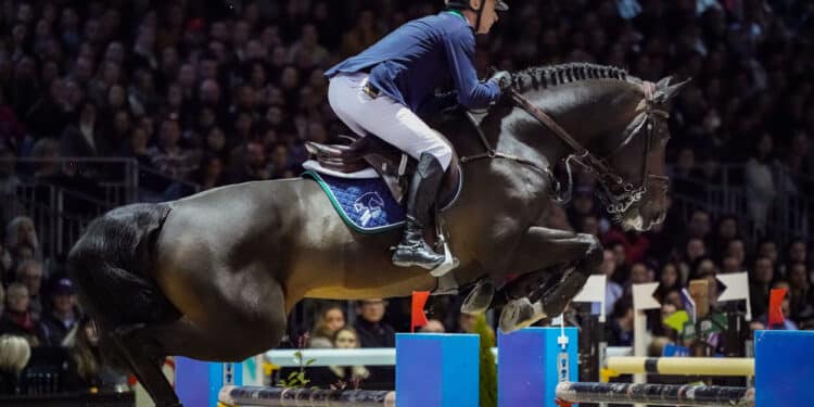 Équitation : Le Cadre Noir, un gala d’ouverture d’exception à Bordeaux