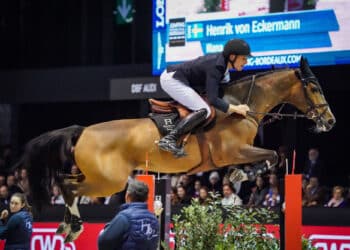 Équitation : Tout savoir sur le Jumping de Bordeaux