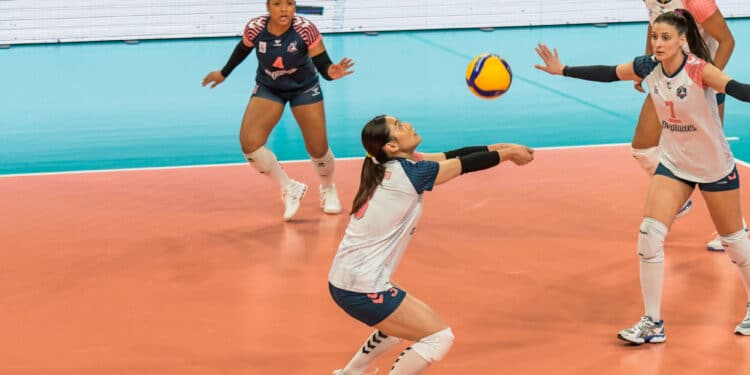 Volley : Les Neptunes de Nantes croient toujours au sacre européen