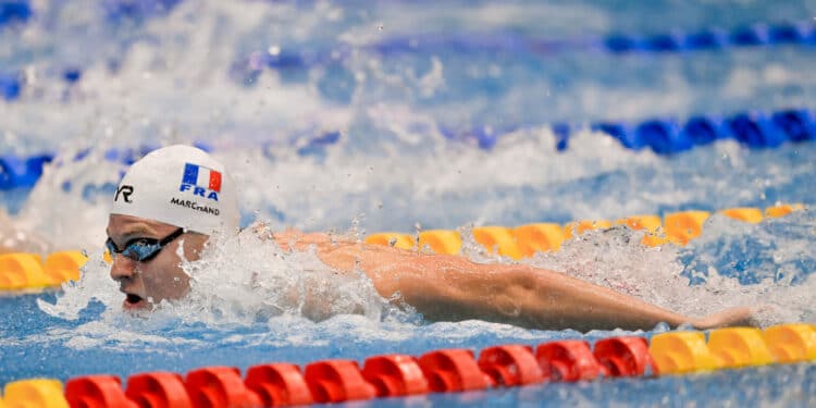 Natation : Paris, capitale européenne… en 2026