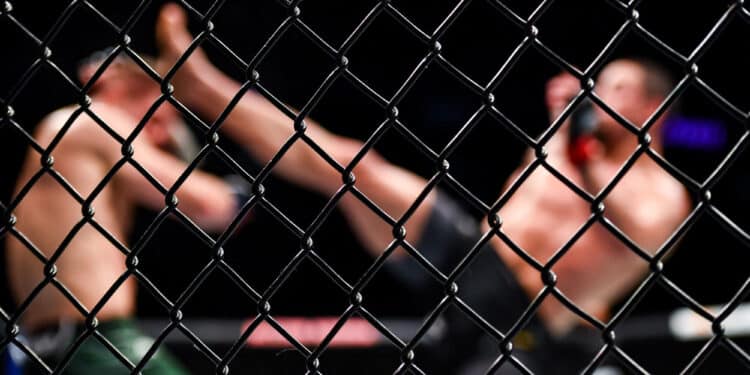 MMA : Le King Of Fighters fait étape au Mans