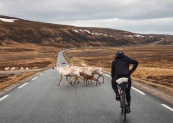 Nathalie Baillon : « L’idée, c’est de donner envie aux gens et de les faire rêver »