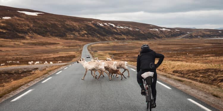 Nathalie Baillon : « L’idée, c’est de donner envie aux gens et de les faire rêver »