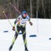 Handisport : Les Contamines-Montjoie en fête pour le para-ski adapté