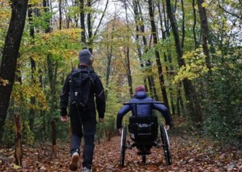 Handisport : Le label Handi’spot voit le jour