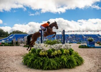 Équitation : Un air de JO au Grand national de Pompadour