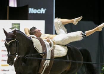 Équitation : Saumur en mode voltige