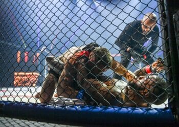 MMA : Niort montre les muscles !