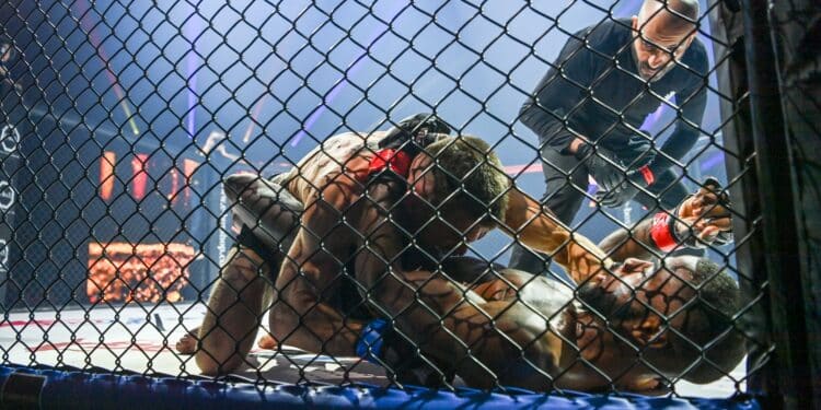 MMA : Niort montre les muscles !