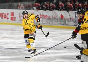 Quentin Tomasino : « J’espère qu’il ne m’arrivera que du bon ! »