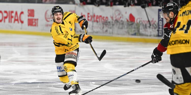 Quentin Tomasino : « J’espère qu’il ne m’arrivera que du bon ! »