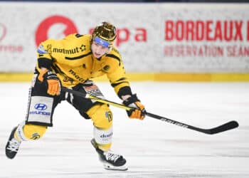 Hockey sur glace : Les meilleurs joueurs de Ligue Magnus récompensés