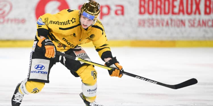 Hockey sur glace : Les meilleurs joueurs de Ligue Magnus récompensés