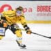 Hockey sur glace : Les meilleurs joueurs de Ligue Magnus récompensés