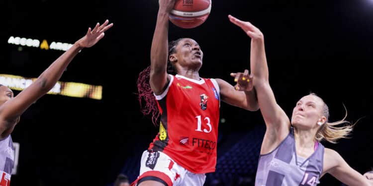 Basket : Duel au sommet entre Monaco et Damigny Alençon