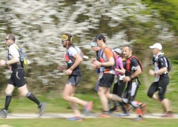 Running : Le Marathon de Cheverny emballe le Loir-et-Cher