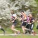 Running : Le Marathon de Cheverny emballe le Loir-et-Cher
