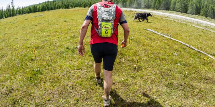 Trail : L’Aber Wrac’h, un défi de choix en Bretagne