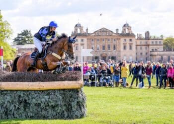 Équitation : Saumur, meilleure préparation pour les Bleus ?