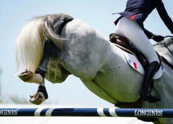 Le Jumping International de Dinard fait le grand saut