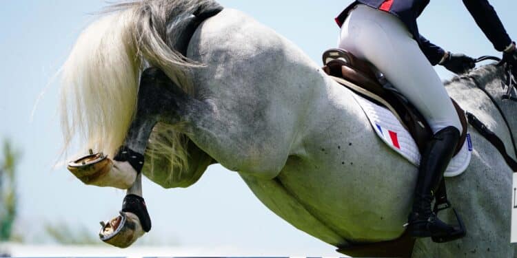 Le Jumping International de Dinard fait le grand saut