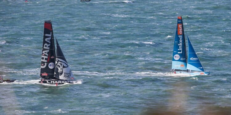 Voile : La Transat CIC débarque à bon port