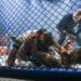 Le MMA revient enflammer Grenoble !