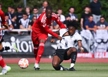 Le Stade Omnisports de Cholet se refait une beauté