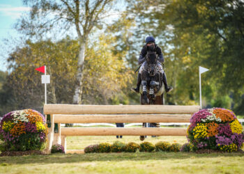 Équitation : Saumur, dernière occasion avant les Jeux