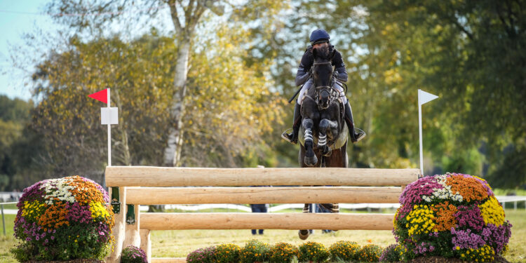 Équitation : Saumur, dernière occasion avant les Jeux