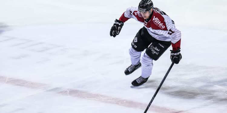 Hockey sur glace : Les Boxers de Bordeaux montrent les crocs
