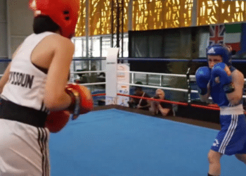 Boxe : Clap de fin pour l’édition 2024 des Ceintures